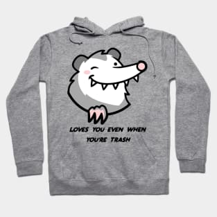 Trash Opossum Hoodie